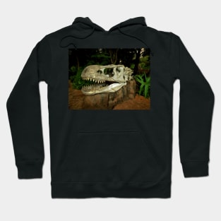 Out-Distancing Dinosaurs Hoodie